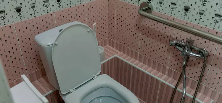 Meeting Diverse Needs With Accessible Restroom Solutions in Monroeville, PA