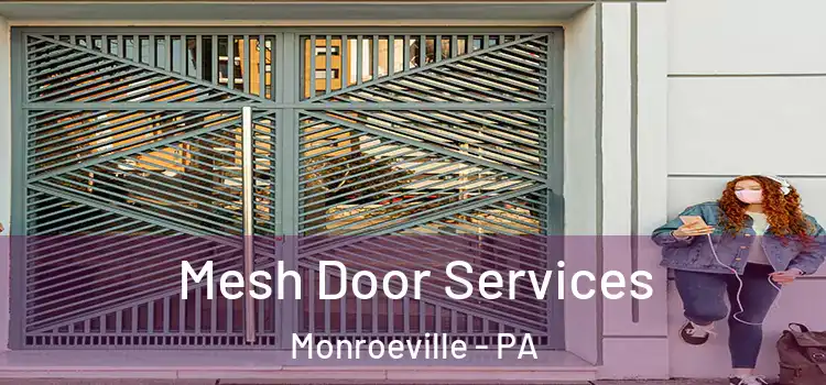 Mesh Door Services Monroeville - PA